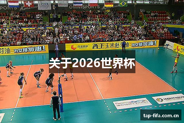 关于2026世界杯